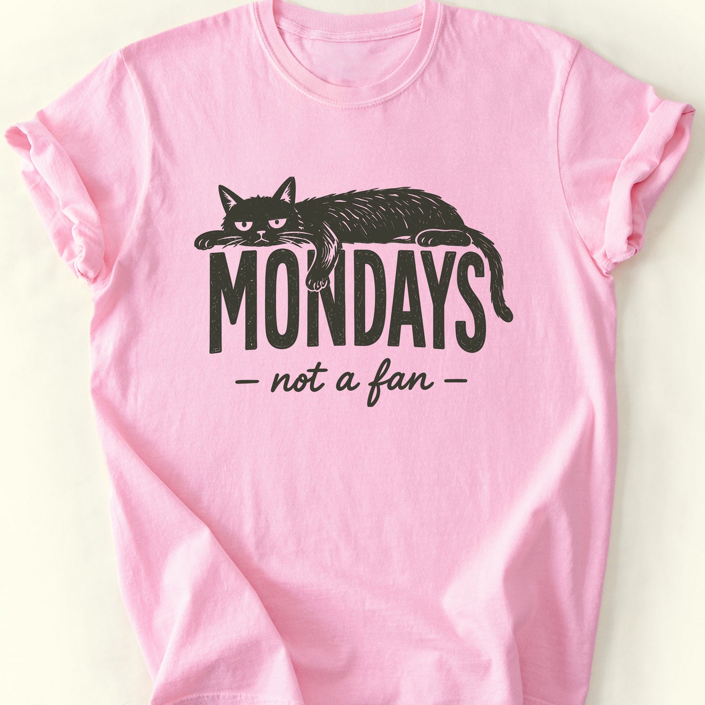 Not A Fan T-Shirt — Blossom