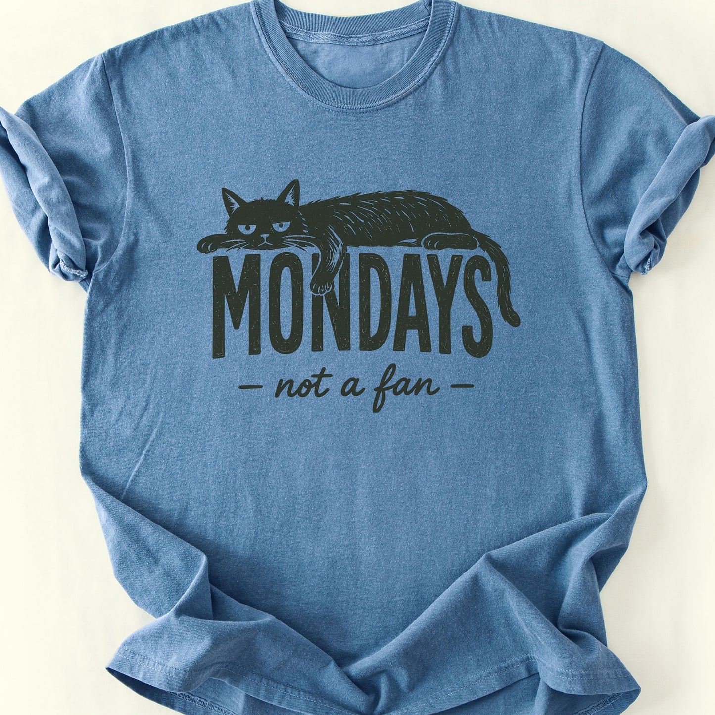 Not A Fan T-Shirt — Blue Jean