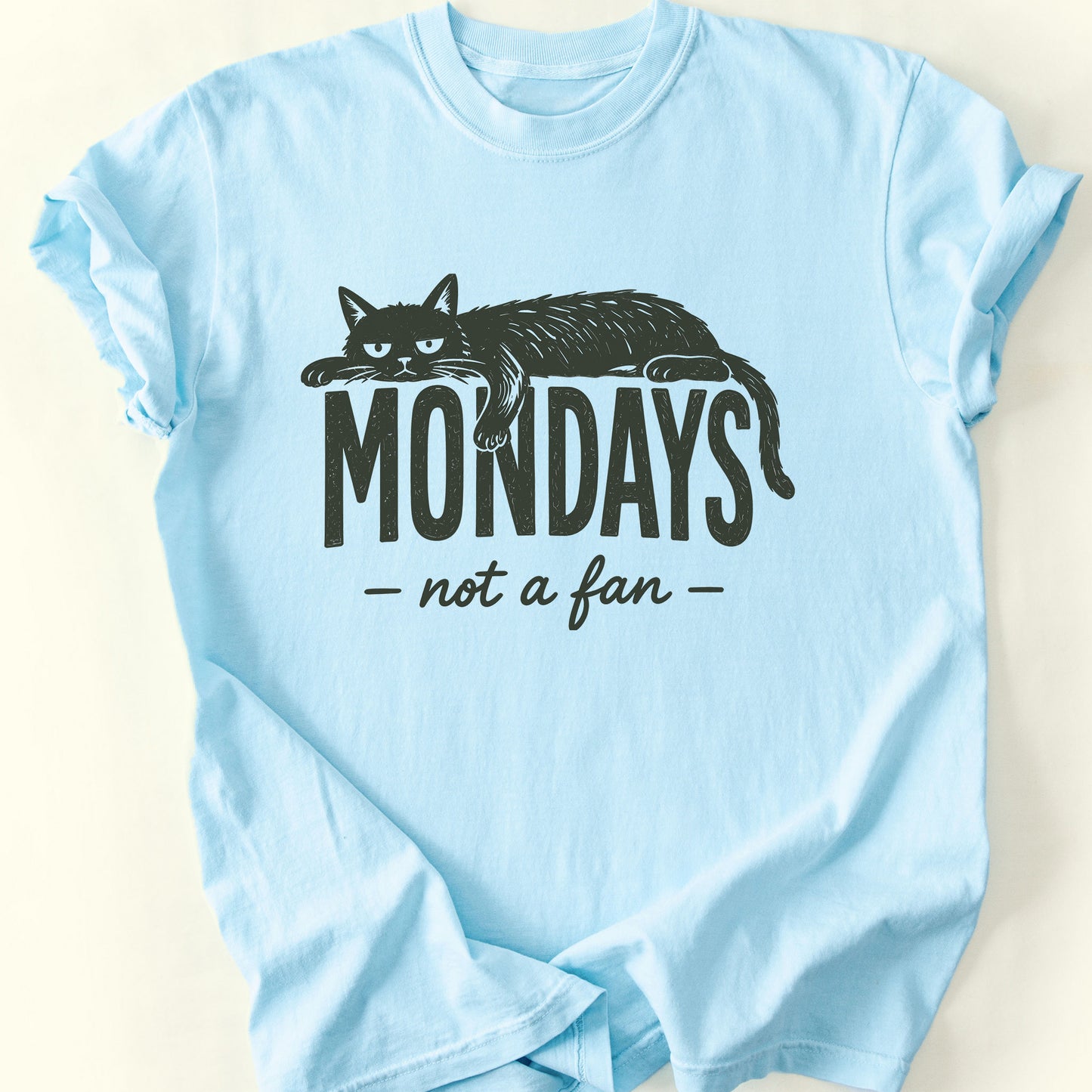 Not A Fan T-Shirt — Chambray