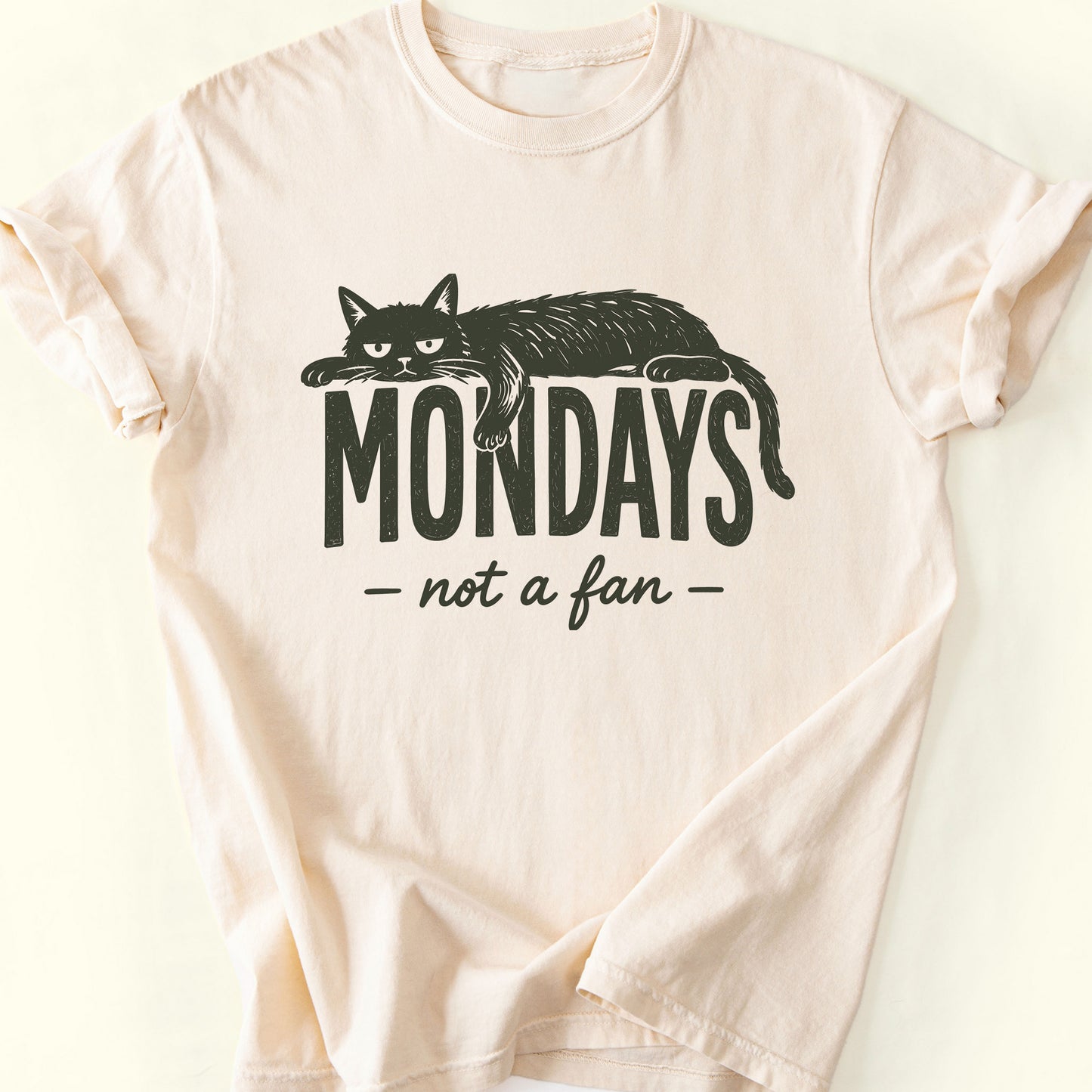 Not A Fan T-Shirt — Ivory
