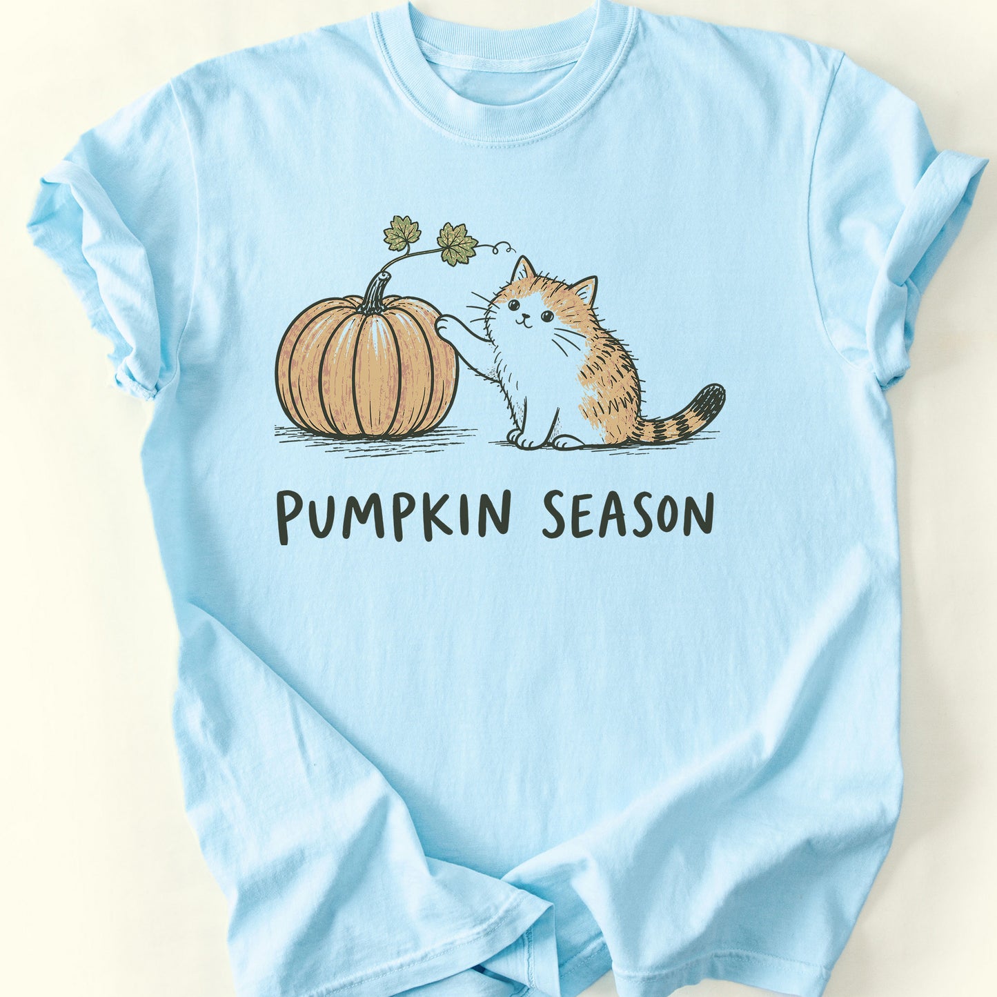 Pumpkin Season T-Shirt — Chambray