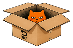 Cat inside a free-returns box